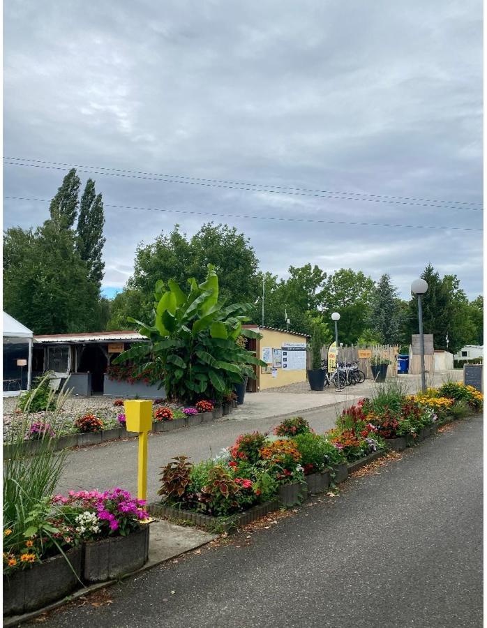 Mobile Home Proche De Europa Park Boofzheim المظهر الخارجي الصورة